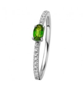 Zilver RH dames ring met zirkonia en chrome diopsiet mt. 16 - 3192500