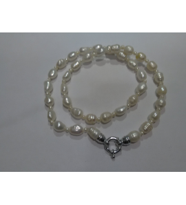 Collier zoetwater parel buton 3.7 mm circle 8x9 mm 52 cm - 3192562