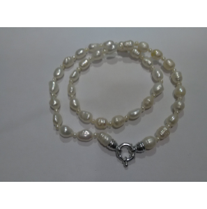 Collier zoetwater parel buton 3.7 mm circle 8x9 mm 52 cm - 3192562