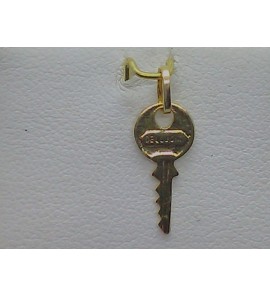 Goud hanger/bedel Sleutel 15 mm - 3192585