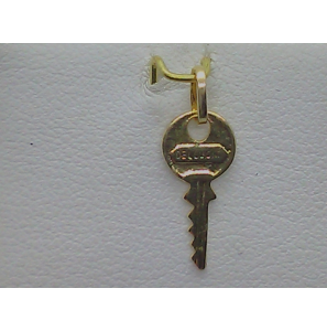 Goud hanger/bedel Sleutel 15 mm - 3192585