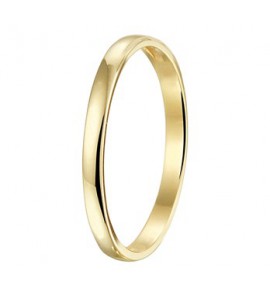 Goud Aanschuifring 2 mm mt. 17 - 3192979