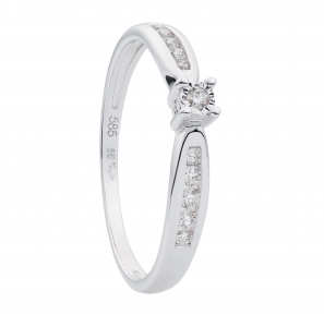 ID dames ring met  zijstenen diam/bril 0.15 crt. mt. 17,5 - 3193100
