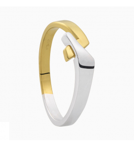 Eclat ring Bicolour met diam.bril 0.03 crt. mt. 17.75 - 3193105