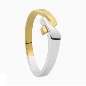 Eclat ring Bicolour met diam.bril 0.03 crt. mt. 17.75 - 3193105