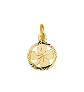 Goud hanger/bedel klavervier in rand 10 mm - 3210471