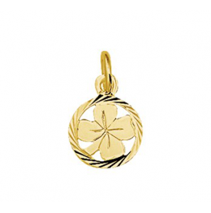 Goud hanger/bedel klavervier in rand 10 mm - 3210471