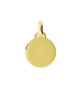 Goud hanger rond glad 12 mm - 3200270