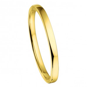 Goud slavenband Rechhoek 6 mm schanier 60x51 mm - 3220417