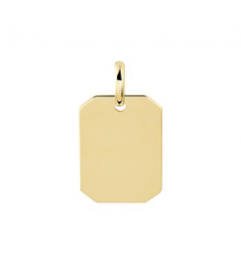 Goud graveer hanger rechthoek 11x20 mm - 3201389