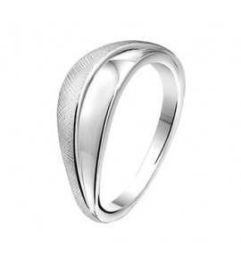 Zilveren ring RH glans/gescratcht maat 17,75 - 3171583