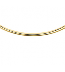 Goud Omega plat bicolour 2 mm 42 cm - 3081596