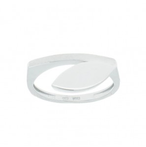 Zilv. ring RH Elegance mat/glans maat 54 - 3202252