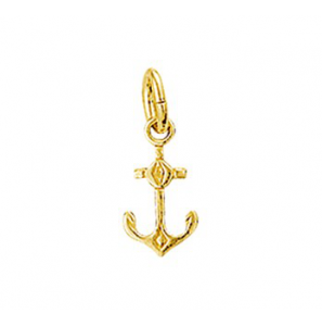 Goud hanger anker 9.5x4.5 mm - 3201153