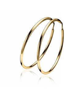 Zinzi zlv. creolen 35x2 gg.verguld - 3202157