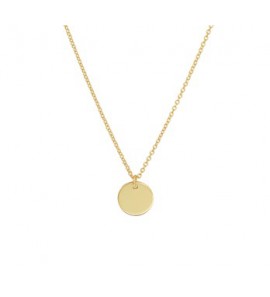 Geelgoud op 925 zilveren collier met hanger  rondje 10 mm. 40-45 cm. Geen garantie op plating. - 3202076