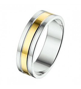 Amorio ring zilver met goud AL767-5 mm - 3224029