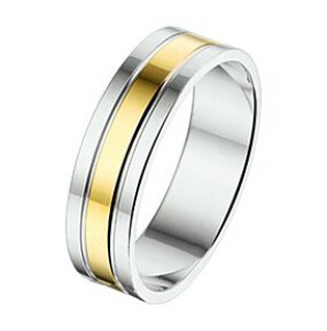 Amorio ring zilver met goud AL767-5 mm - 3224029