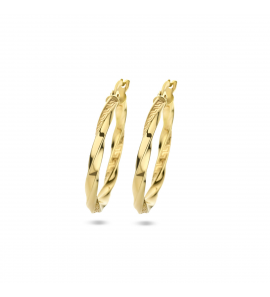 ZilGold oorring tors 2.5 mm 24 mm - 3224032