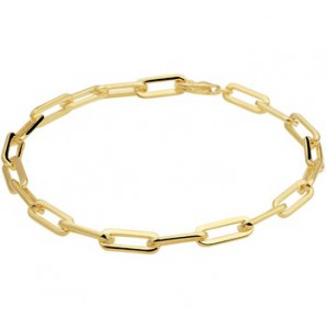 Zilver verguld armband ovale schakel 4.5 mm 19 cm - 3201020