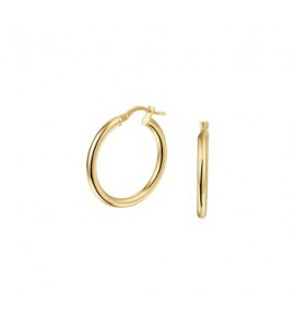 ZilGold oorring 2.5 mm 25 mm - 3193355