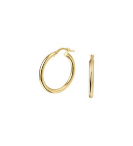 ZilGold oorring 2.5 mm 25 mm - 3193355