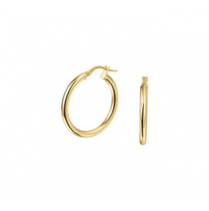 ZilGold oorring 2.5 mm 25 mm - 3193355