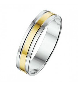 Amorio ring zilver met goud AL766-5 mm - 3224028