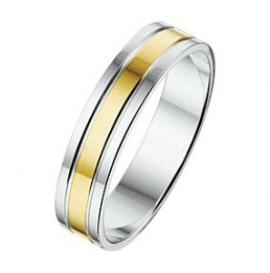 Amorio ring zilver met goud AL766-5 mm - 3224028