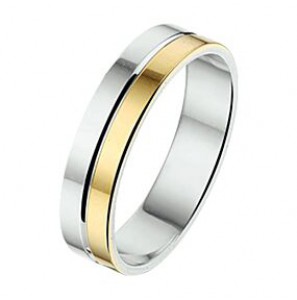 Amorio ring zilver met goud AL745-4 - 3224023