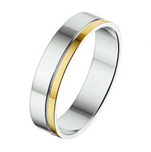 Amorio ring zilver met goud AL754-5 mm - 3224026