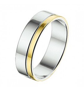 Amorio ring zilver met goud AL755-5 mm - 3224027