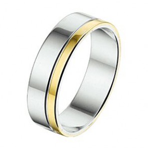 Amorio ring zilver met goud AL755-5 mm - 3224027