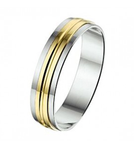 Amorio ring zilver met goud AL758-5 mm - 3224030