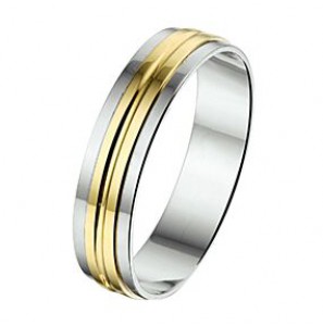 Amorio ring zilver met goud AL758-5 mm - 3224030