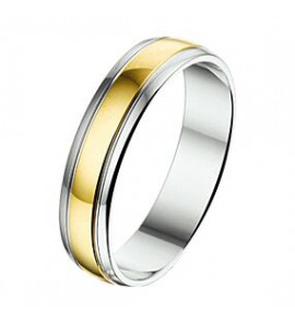 Amorio ring zilver met goud AL750-5 - 3224015