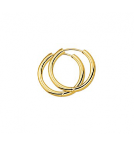 Goud klap-oorringen 2.5 x 20 mm - 3201881