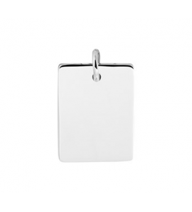 Zilveren graveerplaat RH rechthoek 14x21 mm - 3201944