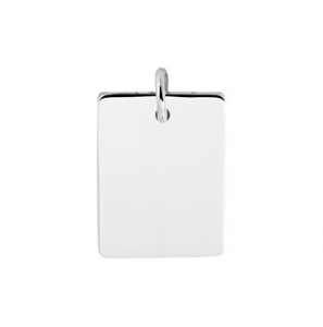Zilveren graveerplaat RH rechthoek 14x21 mm - 3201944
