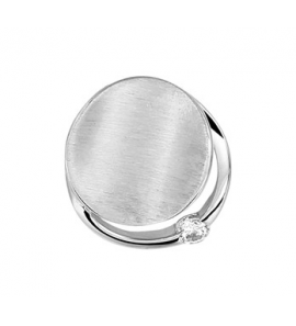 Zilveren hanger RH mat/glans met zirconia - 3201946