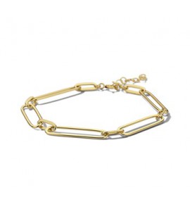 Zilver geelverg. armband paperclip platte buis 6,0 mm 17 + 2 cm - 3202075