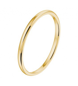 Goud Aanschuifring glad bol mt. 17â - 3202208