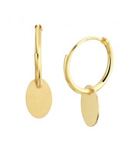 Geelgouden creolen 13x1.3 mm met ovaal plaatje - 3202348