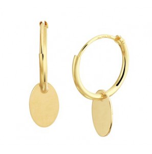Geelgouden creolen 13x1.3 mm met ovaal plaatje - 3202348