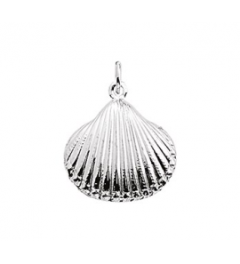 Zilver hanger/bedel schelp - 3210094