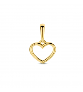 Goud hanger hatrtje open - 3222713