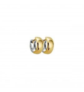Goud bic. klap-oorringen 5 mm 12.5 mm - 3211229