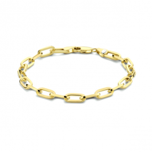 ZilGold armband paperclip schakel 5mm 19cm - 3211608