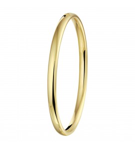 ZilGold bangle ovaal 5x61 mm - 3211613