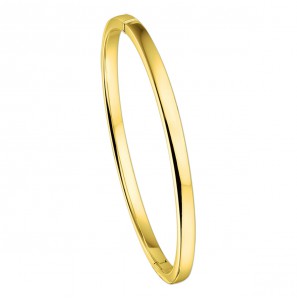 Goud slavenband Rechhoek 4 mm schanier 60x51 mm - 3220415